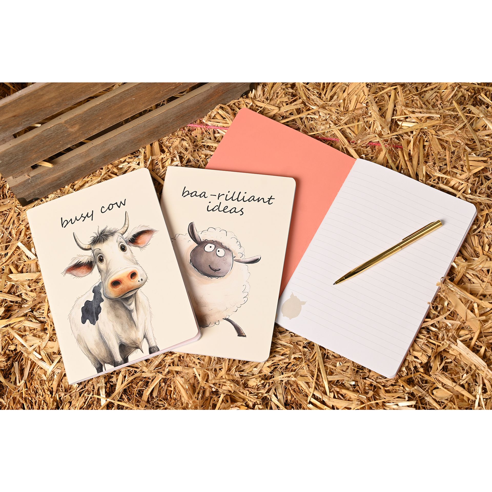 The Funny Farm Set of 3 A5 Notebooks - Image 3