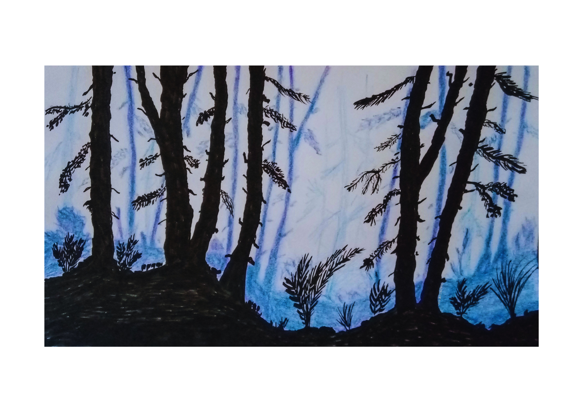Misty Forest - Framed Print - Image 2