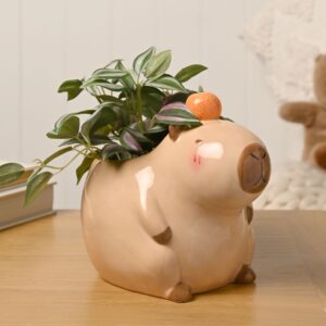 The Feel Good Club Capybara Plant Pot - Large
