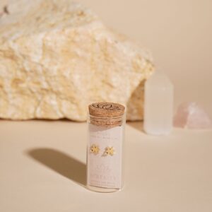 Serenity Zodiac 18k Gold Plated Earrings - Pisces