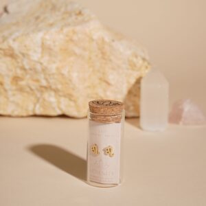 Serenity Zodiac 18k Gold Plated Earrings - Leo