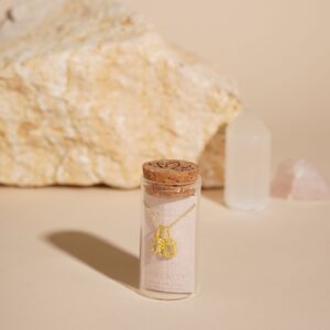 Serenity Zodiac 18k Gold Plated Necklace - Pisces